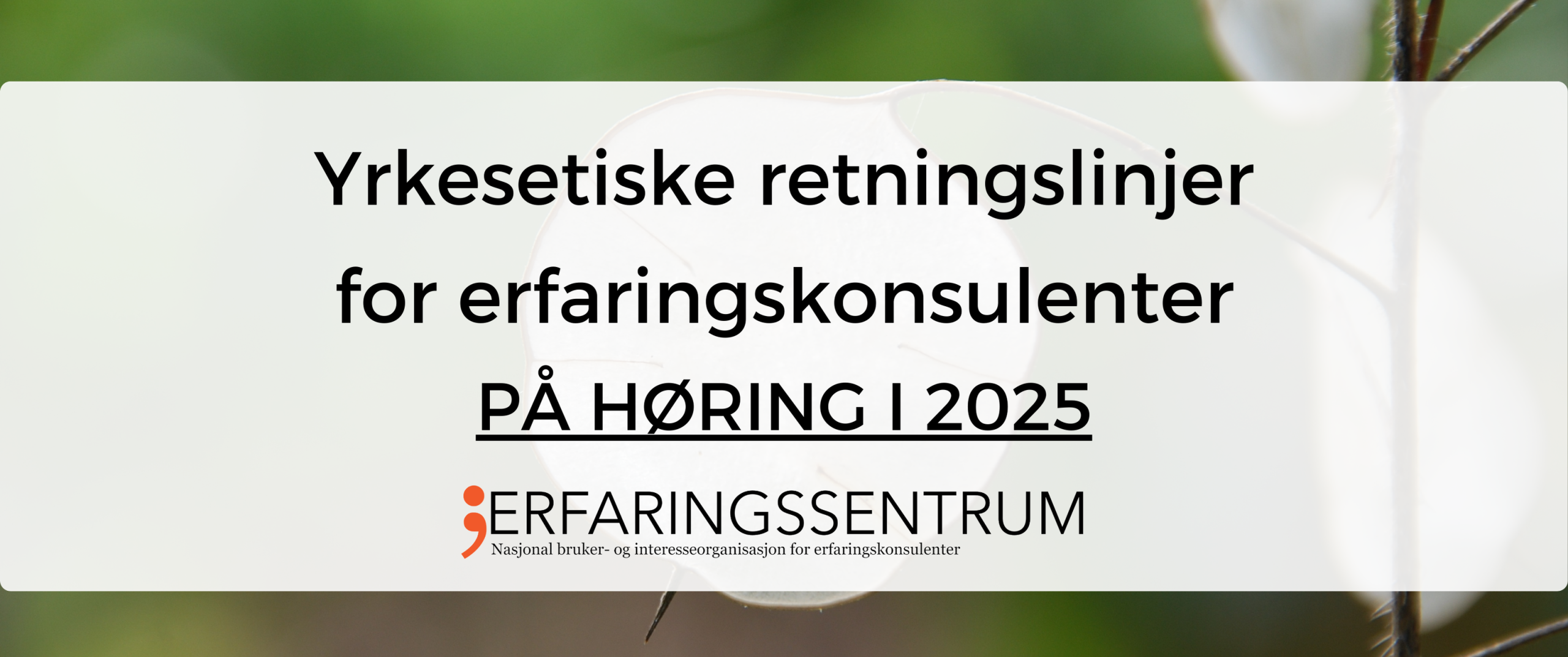 Yrkesetiske retningslinjer